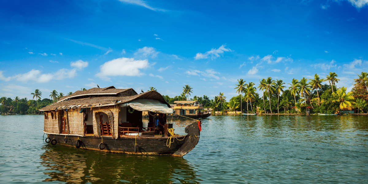 Kerala Backwater Image